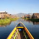 Illustration for article titled How This Lake In Asia Became A Floating Tomato Farm